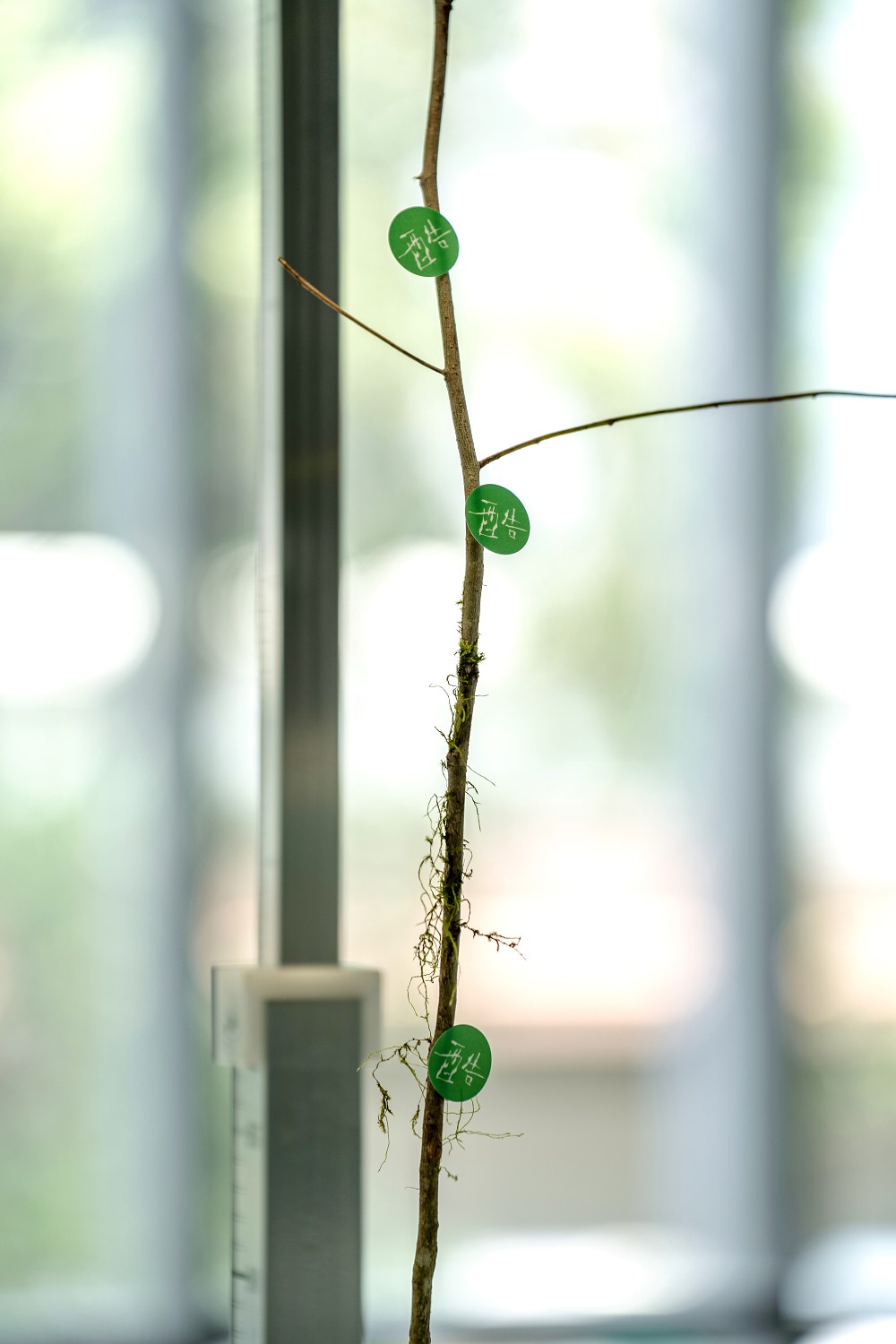 北師美術館《酷共生》展覽亮點！11組跨領域創作探討跨越物種的依存關係