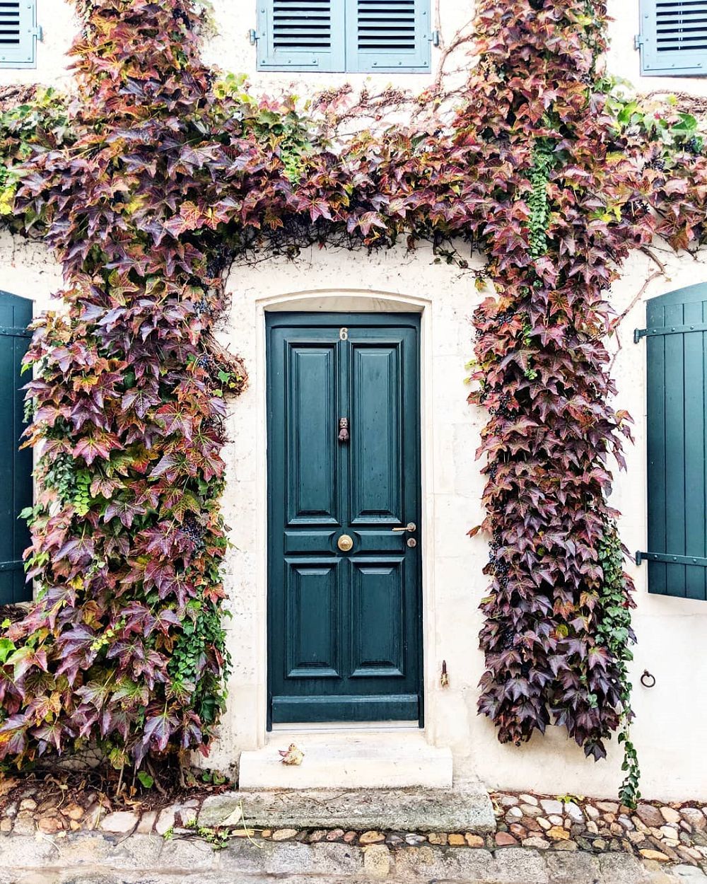 倫敦城市門面擔當！英國攝影師Bella Foxwell捕捉絕美「家門」路上觀察學