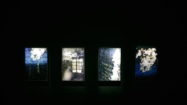 【觀展心得】惡女其實有顆溫柔的心 - 蜷川實花華麗至極，絢爛奪目的影像世界