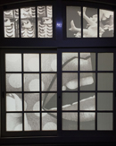 【觀展心得】惡女其實有顆溫柔的心 - 蜷川實花華麗至極，絢爛奪目的影像世界