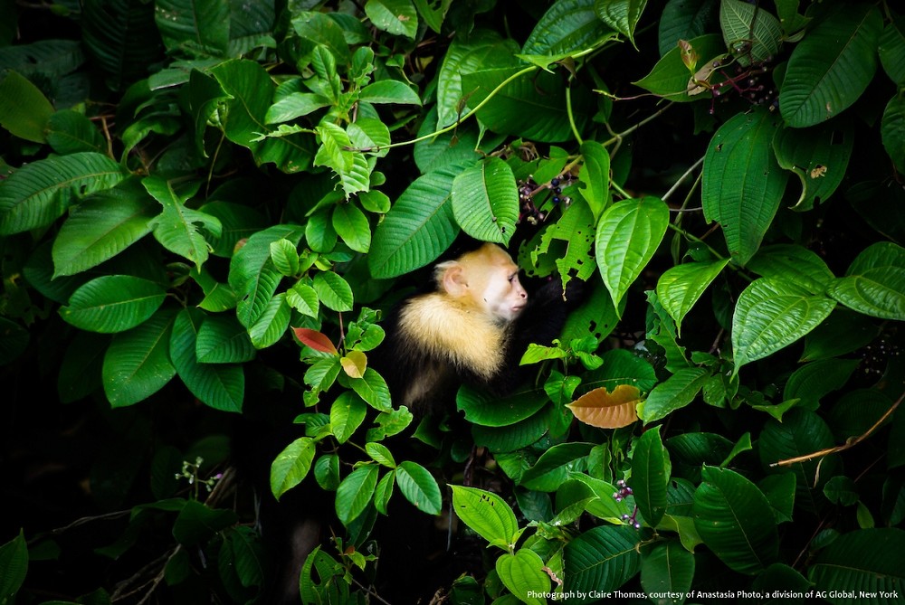 2022新光三越國際攝影展亮點!極境旅行、世界紀實觀察等223幅攝影登場