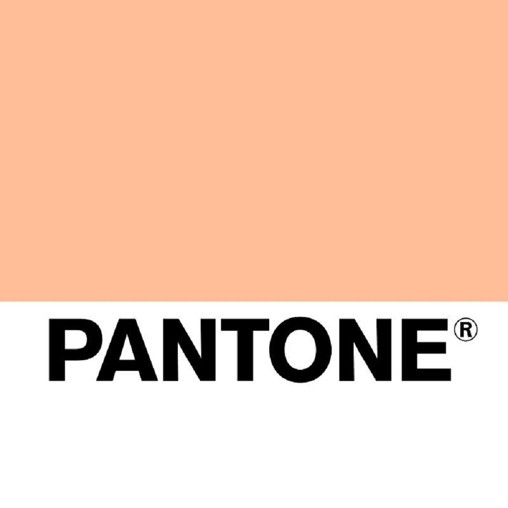 Pantone 2024年度代表色「柔和桃Peach Fuzz」！詩意浪漫又充滿溫暖的蜜桃色