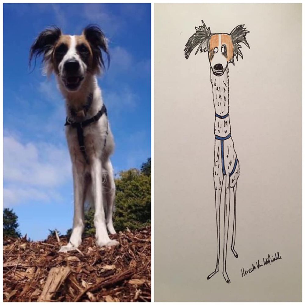 越拙劣越可愛!英國爸爸Hercule Van Wolfwinkle化身插畫家為兒子畫下幽默寵物畫作