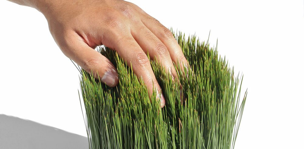 雜草變身美感文具！印度「Ouside／Inside」隨四季變色的松針葉自然系設計文具