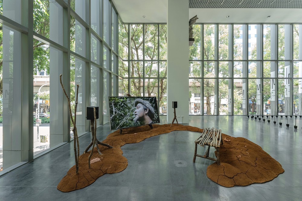 北師美術館《酷共生》展覽亮點！11組跨領域創作探討跨越物種的依存關係