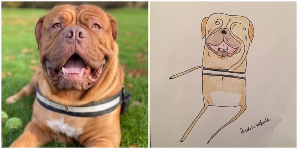越拙劣越可愛!英國爸爸Hercule Van Wolfwinkle化身插畫家為兒子畫下幽默寵物畫作