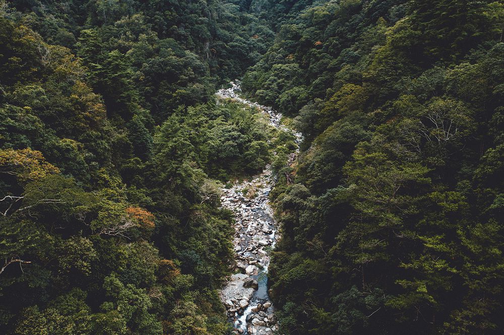 台中谷關「入關博物館」遊客中心新身！集結自然插畫、採集圖書館等4大亮點