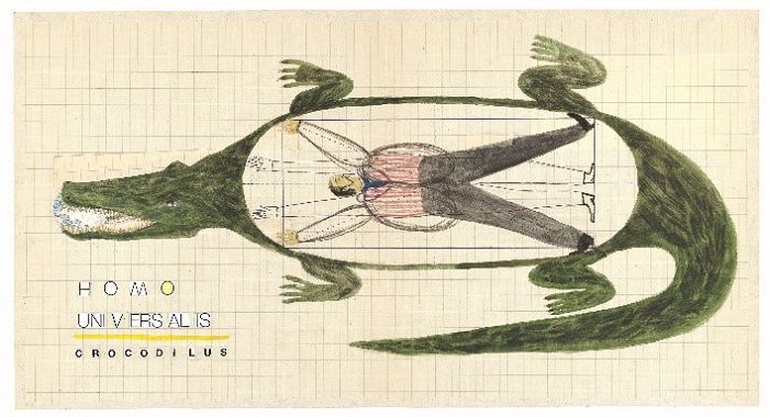 波隆納插畫展登場!展出5位台灣插畫家溫暖手感筆下描繪純真異想世界