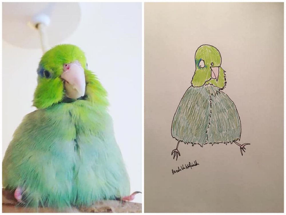 越拙劣越可愛!英國爸爸Hercule Van Wolfwinkle化身插畫家為兒子畫下幽默寵物畫作