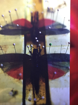 【觀展心得】惡女其實有顆溫柔的心 - 蜷川實花華麗至極，絢爛奪目的影像世界