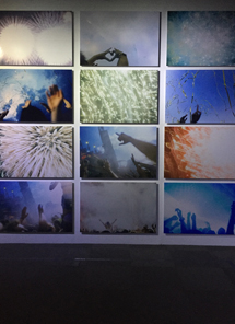 【觀展心得】惡女其實有顆溫柔的心 - 蜷川實花華麗至極，絢爛奪目的影像世界