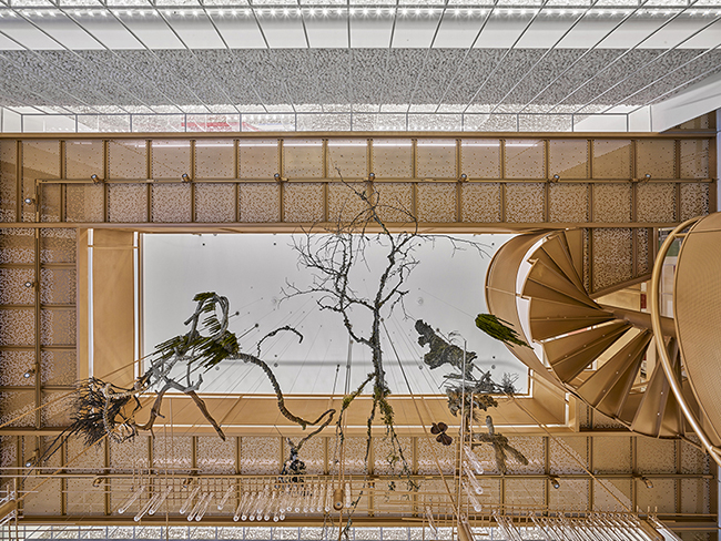 【台灣設計】沒有生病也想去！分子藥局打造綠色實驗室