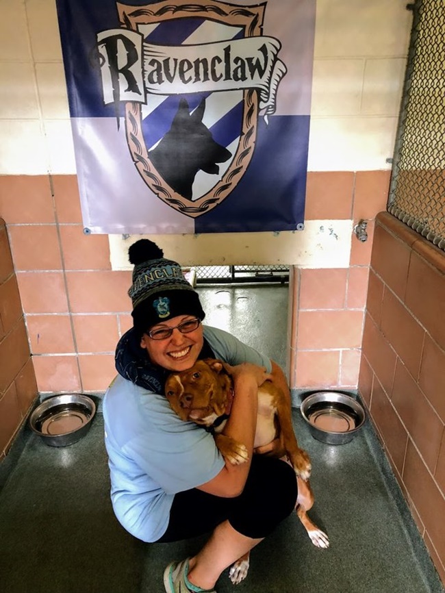 流浪動物收容所出新招！狗狗也要參加霍格華茲分類儀式