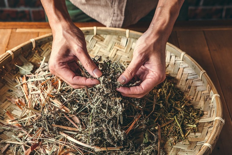 回顧都市裡的青草綠洲！台北「野事草店」飄散青草茶與咖啡香的風格美食空間