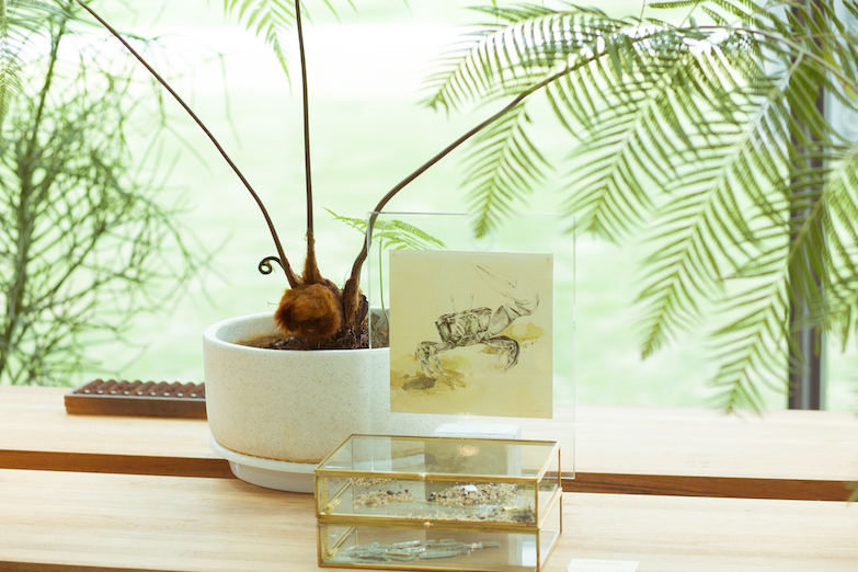 台灣特有生物於台中歌劇院出沒中！金工品牌以覺學聯手插畫家推出《隱身在島上》台灣特有生物插畫展