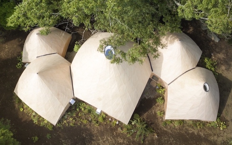 退休後的森林小屋庇護所！日本靜岡 Jikka 如精靈住處的複合式長照宅