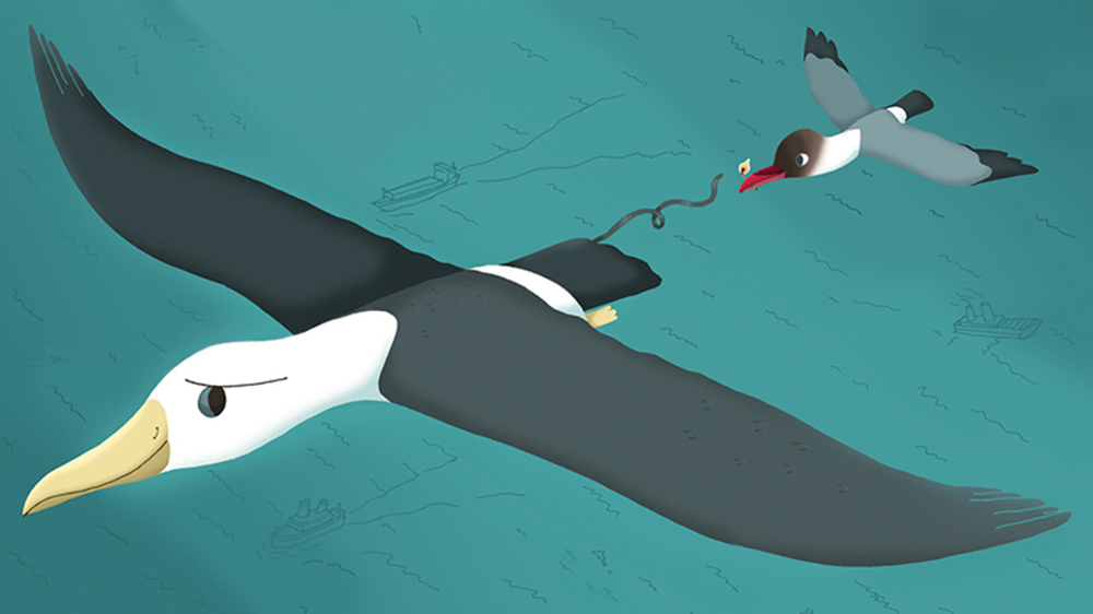 最懂鳥類的插畫家！英國藝術家 Matt Sewell 筆下可愛迷人的鳥類插畫創作