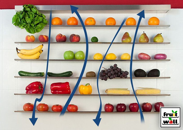 將色澤飽滿的新鮮水果擺成一面牆，透氣延長水果壽命概念設計