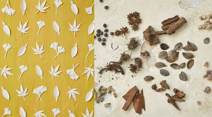 百年品牌質感新生！日本老舖薰壽堂的職人手作葉片型和紙薰香「HA KO」，散發秋冬木質調香氣