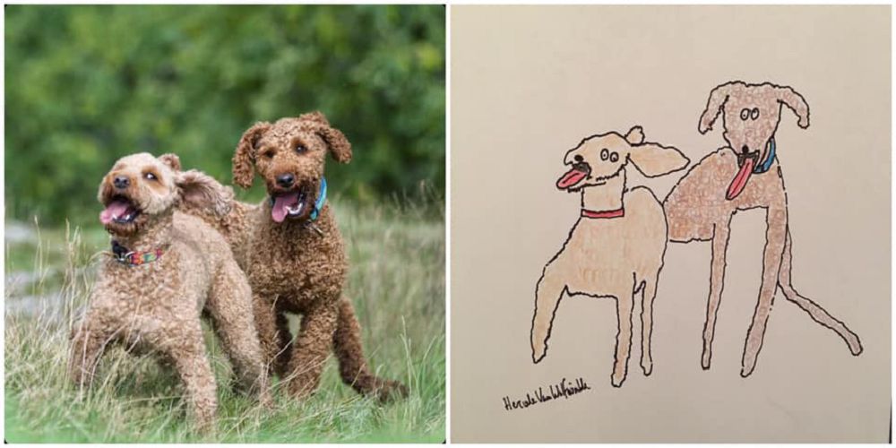 越拙劣越可愛!英國爸爸Hercule Van Wolfwinkle化身插畫家為兒子畫下幽默寵物畫作