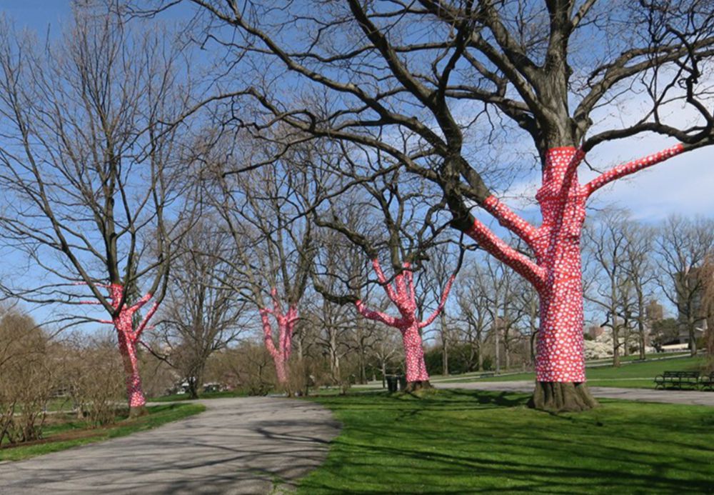 草間彌生《宇宙自然》紐約植物園開展！跳舞南瓜、無限鏡屋、圓點樹等奇幻裝置