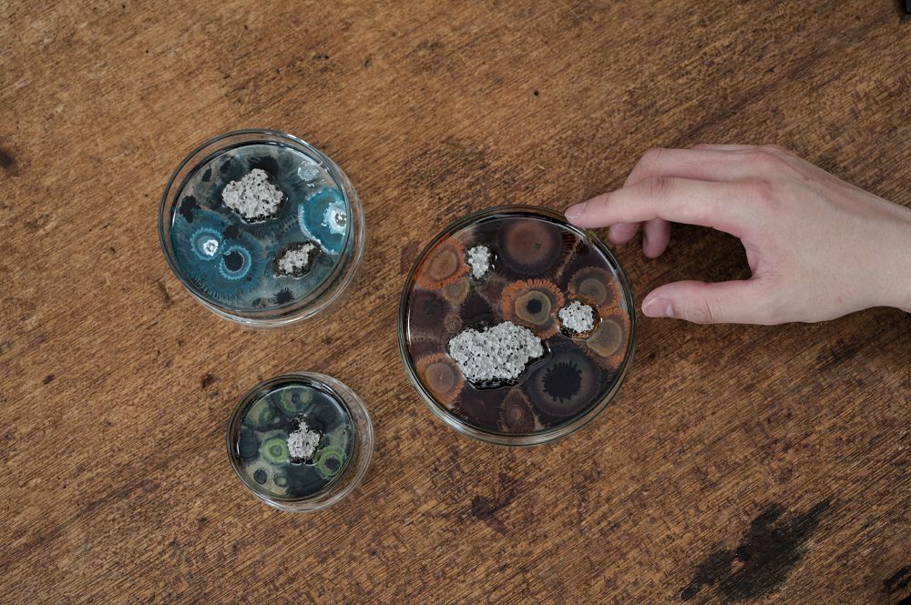 絕美微觀玻璃擴香座！The New Normal氣味培養皿、蜂巢擴香石共譜沉浸嗅覺體驗