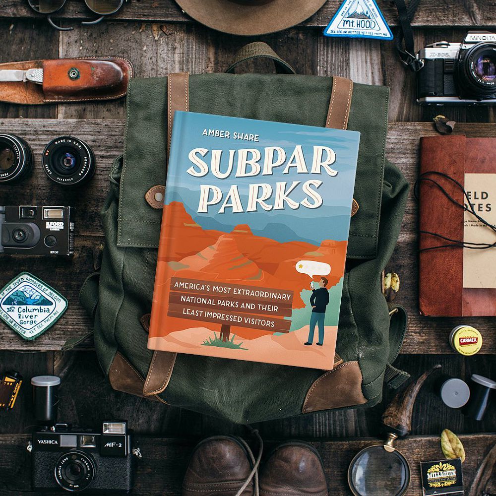 一星負評成風格插畫「Subpar Parks」！美國設計師Amber Share扭轉美國國家公園負評