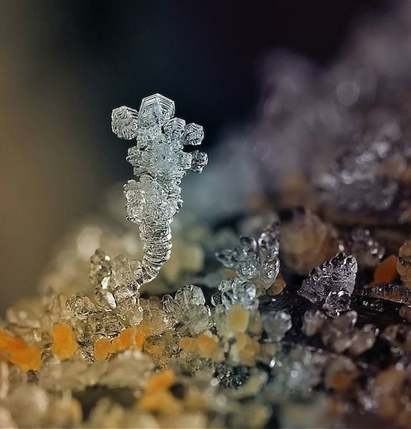 微距之美：精緻無比的微雪景