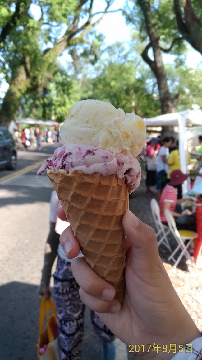 陽光、自然、悠閒－綠色隧道中的台東 2626 市集