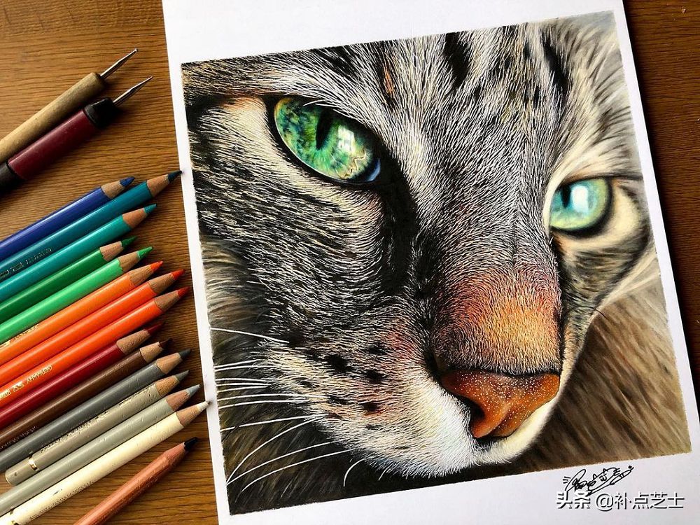 哪個貓咪是真是假？日本藝術家工藤陽輝的超寫實貓咪色鉛筆插畫