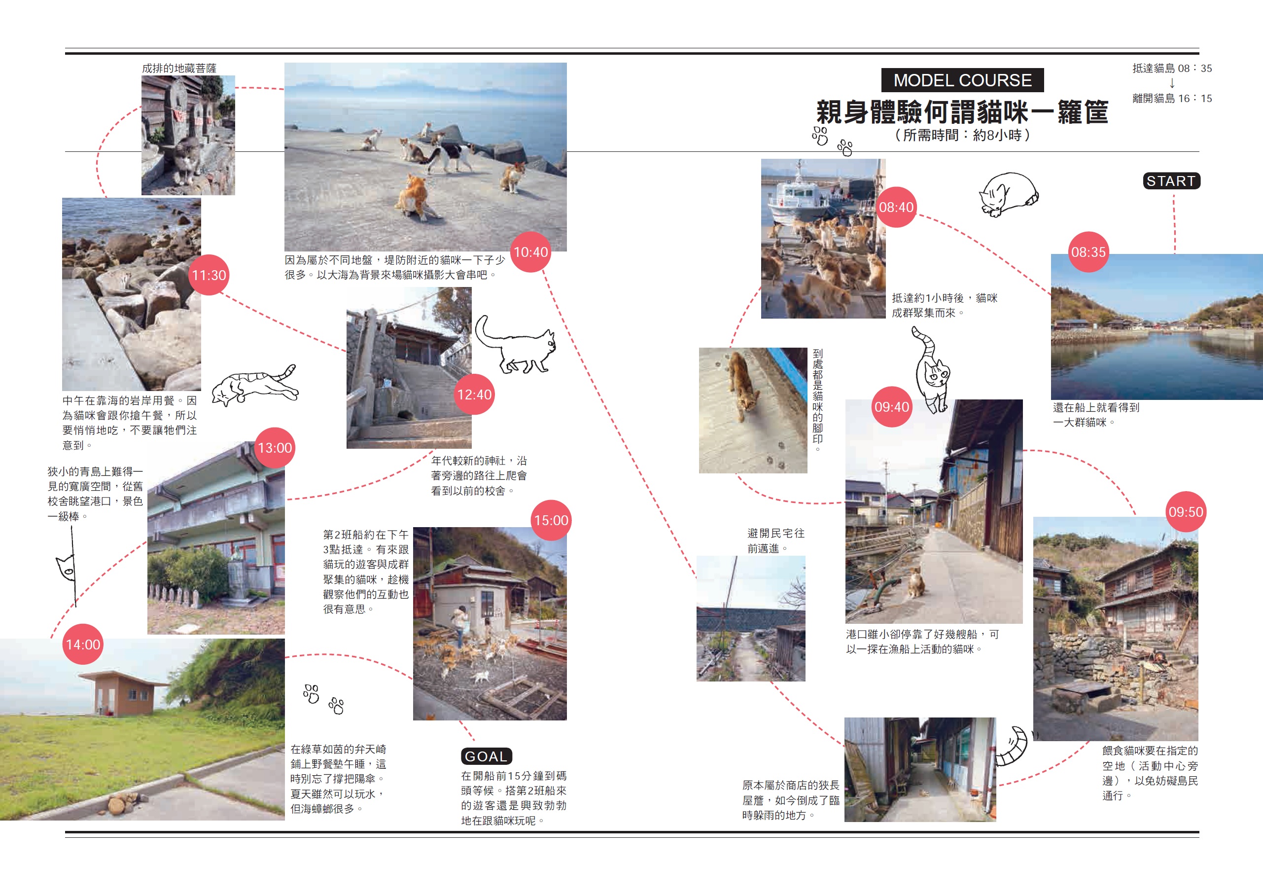 來去日本離島找貓玩！12座貓島，說走就走毫不遲疑！