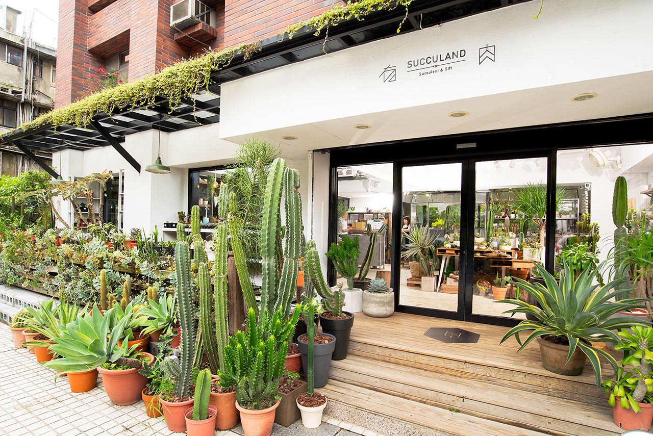 綠手指如何養成？綠意居家生活新手的指南、專家推薦 3 種輕鬆入門植物！