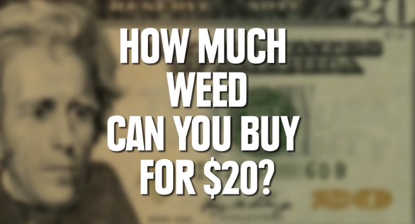 150 元、600 元的台幣可以買到多少食物或…毒品?