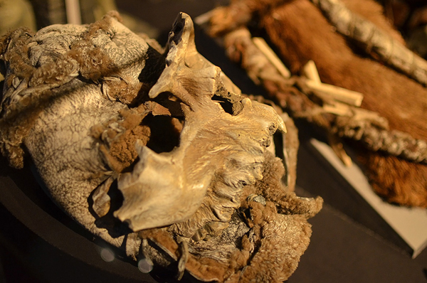 令人心神嚮往~冰與火之歌紐約特展