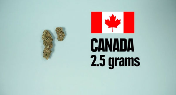 150 元、600 元的台幣可以買到多少食物或…毒品?