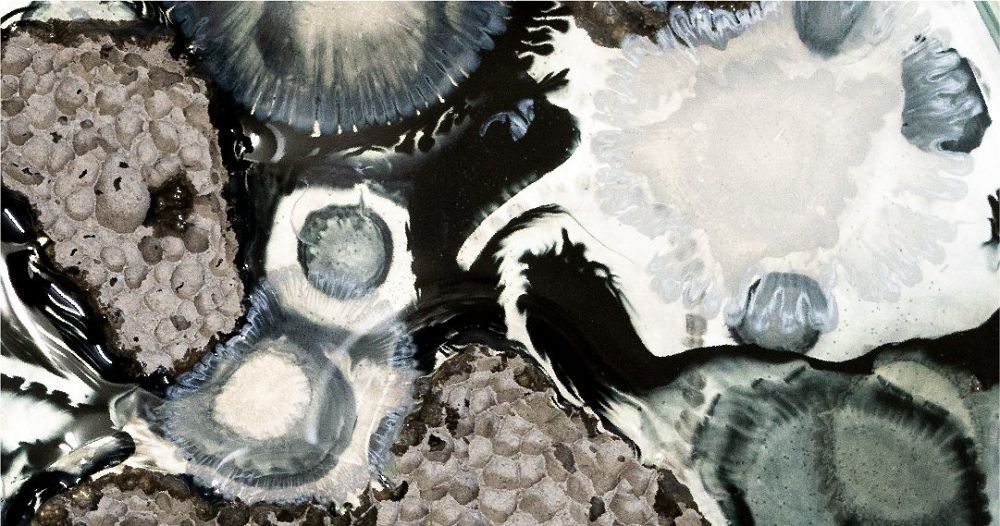 絕美微觀玻璃擴香座！The New Normal氣味培養皿、蜂巢擴香石共譜沉浸嗅覺體驗