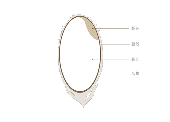 台灣品牌「米膚」新生了！2017 全新群眾集資計畫─不斷升級、向前、超越、好還要更好