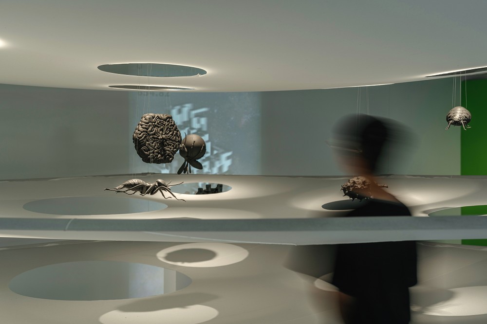北師美術館《酷共生》展覽亮點！11組跨領域創作探討跨越物種的依存關係