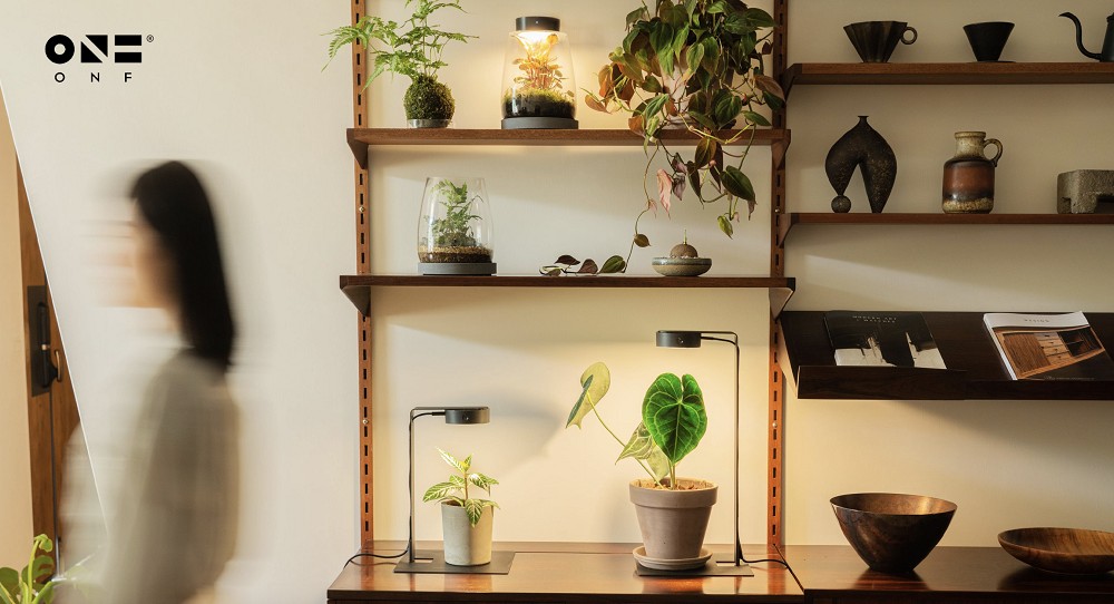 台北富錦街「澆綠俱樂部」限時登場！結合植物培育燈具、植栽、礦石打造療癒體驗