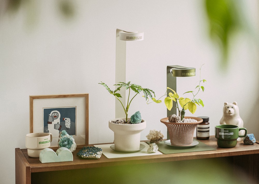 台北富錦街「澆綠俱樂部」限時登場！結合植物培育燈具、植栽、礦石打造療癒體驗