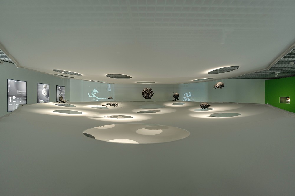 北師美術館《酷共生》展覽亮點！11組跨領域創作探討跨越物種的依存關係