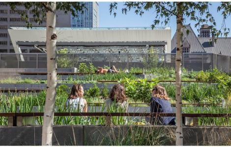 「他山之石，可以攻錯」，看美加市政花園改造