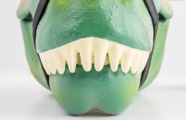 守護你的午餐糧食,要偷吃先過暴龍這一關!