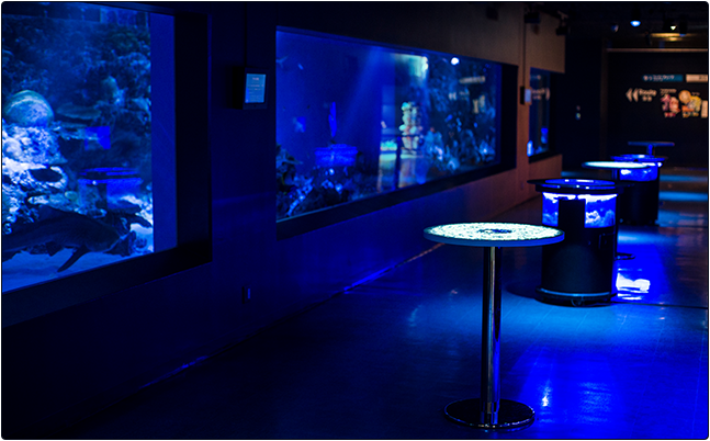 品川水族館變身冰雪世界!超夢幻的日本「SNOW AQUARIUM」展