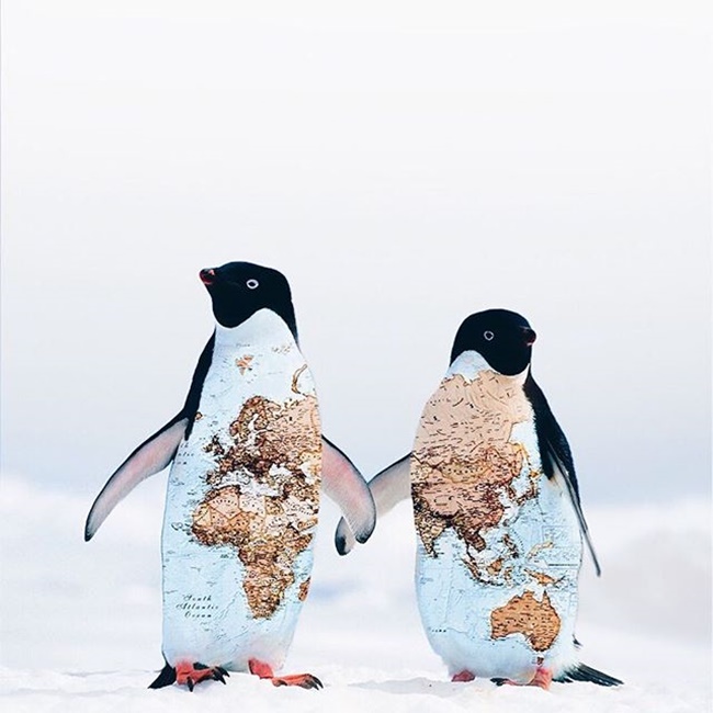 當攝影師說:「我要的不是真實,而是奇幻」