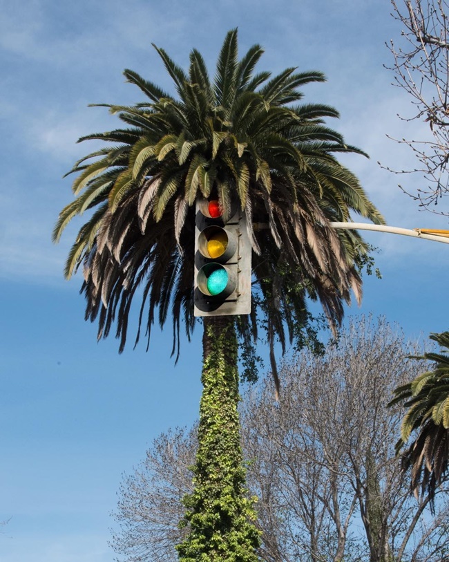 平凡日常變身奇幻夢境!韓裔攝影師KangHee Kim虛幻與超現實的攝影創作