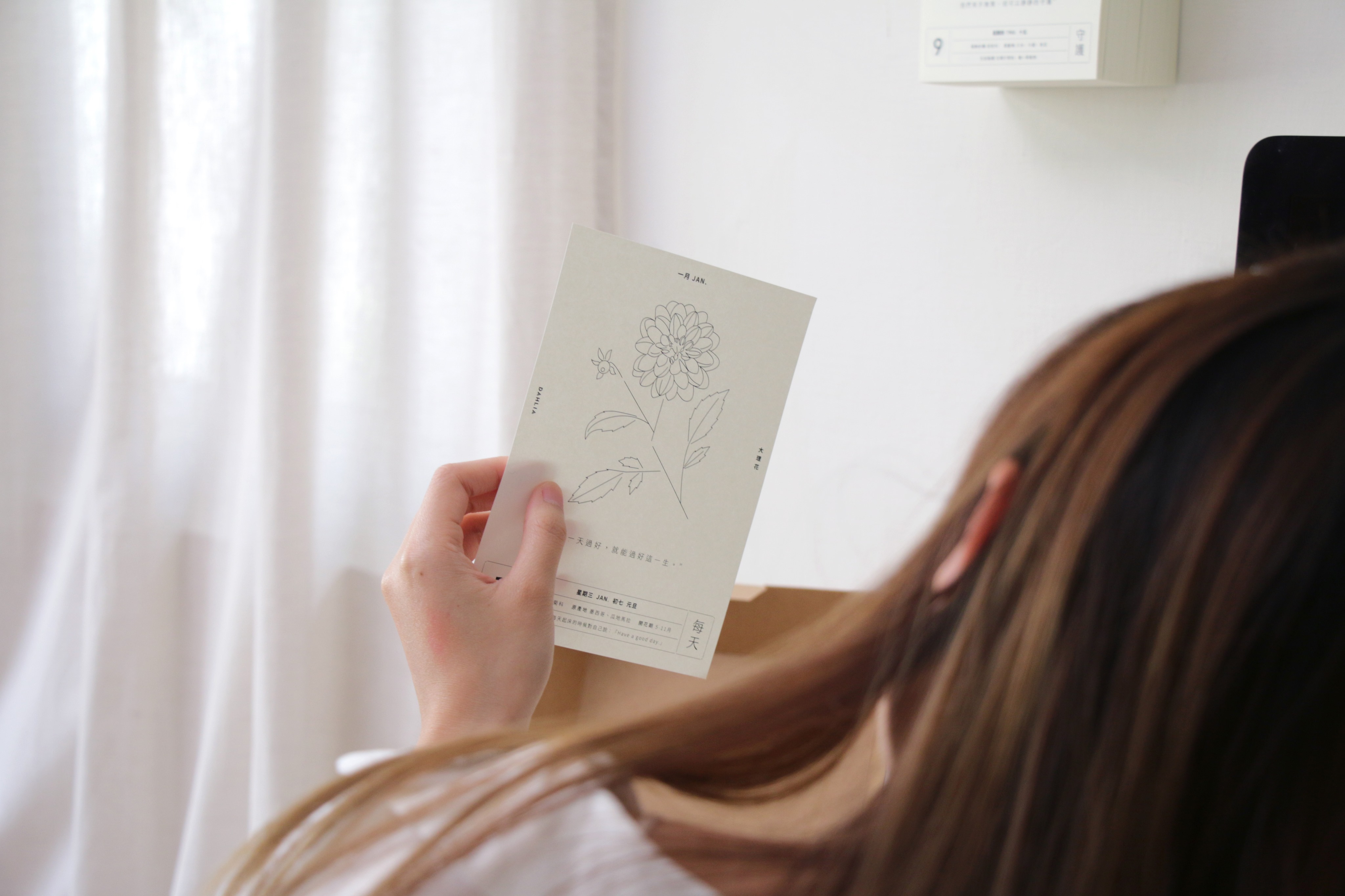 整年都有植物相伴！一隅有花推出《一年生》日曆勾勒植物姿態，結合溫暖字句撫慰日常生活