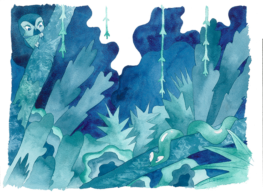 最懂鳥類的插畫家！英國藝術家 Matt Sewell 筆下可愛迷人的鳥類插畫創作