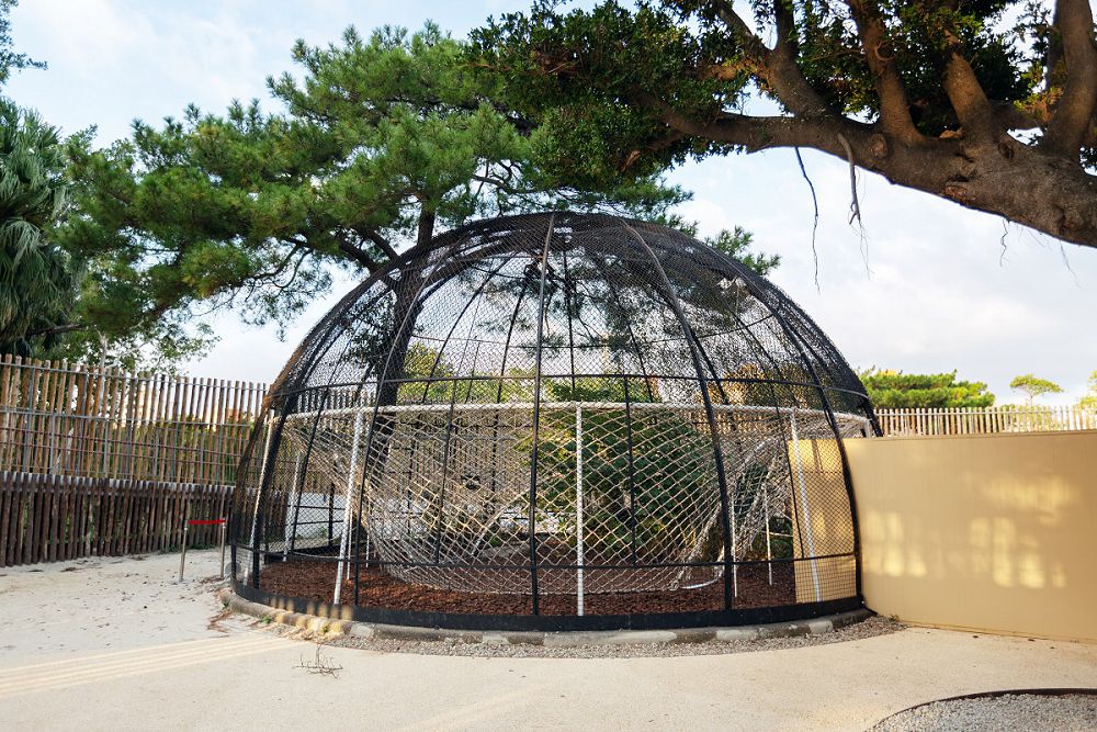 新竹市立動物園重生！經歷2年半變身與城市、生態共生共榮的「離家最近的動物園」