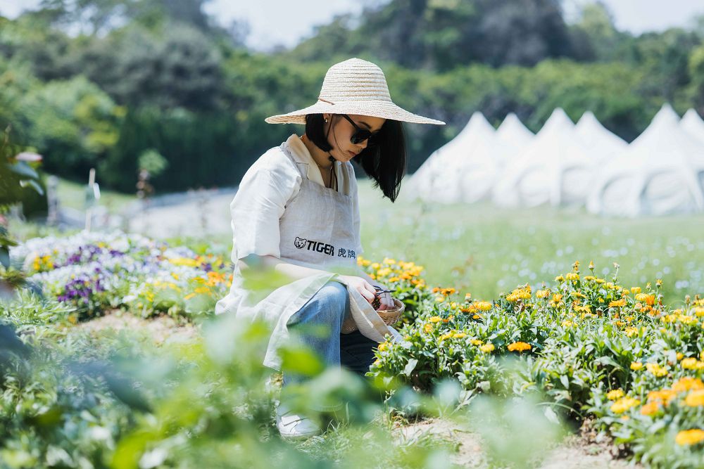 戶外露營必備!日本虎牌MCZ-S抗菌保溫保冷瓶 8款大自然色彩、輕量環保等亮點